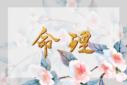 万年历 万年历2025日历表 黄道吉日万年历大全